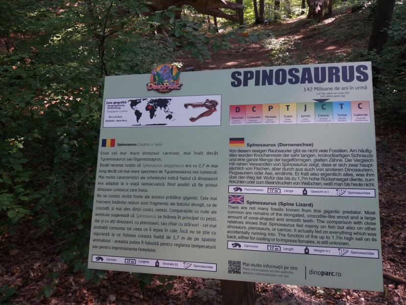  - Dino parc Râșnov