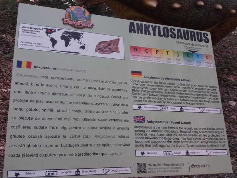  - Dino parc Râșnov