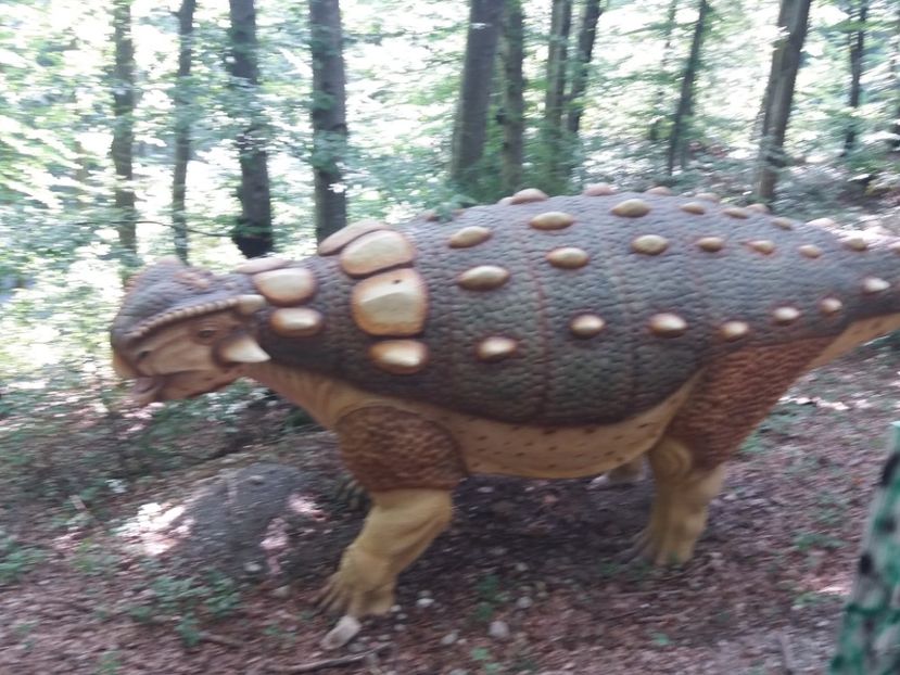  - Dino parc Râșnov