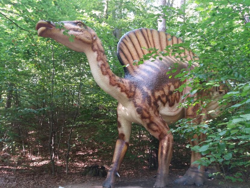  - Dino parc Râșnov
