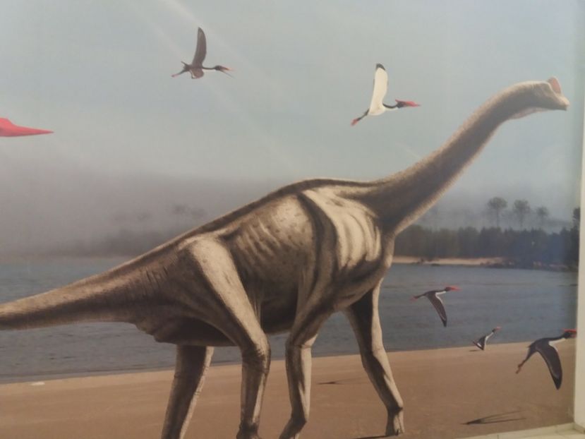  - Dino parc Râșnov
