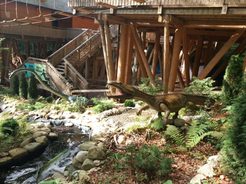  - Dino parc Râșnov