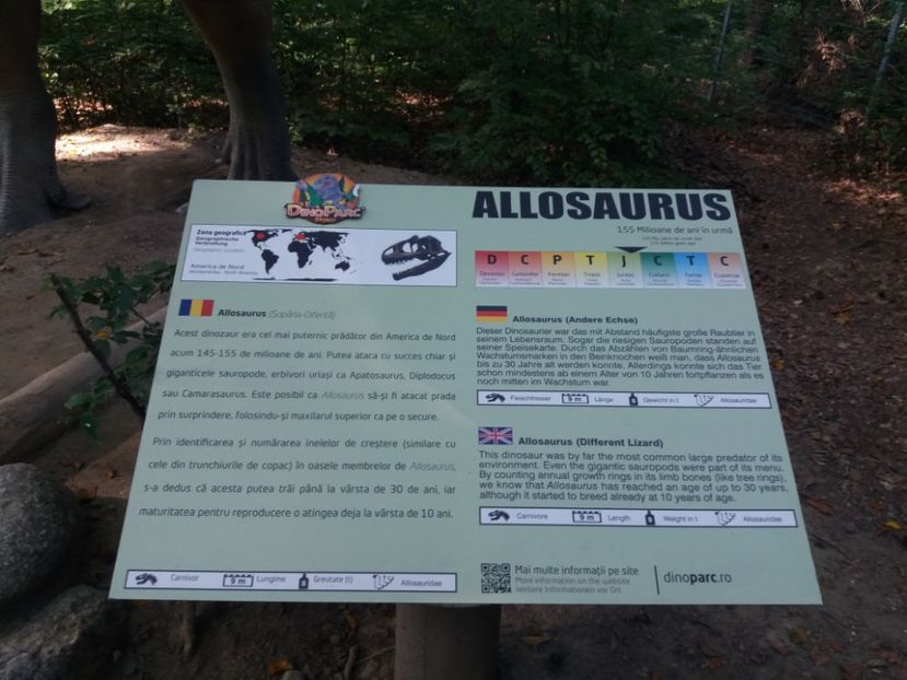  - Dino parc Râșnov