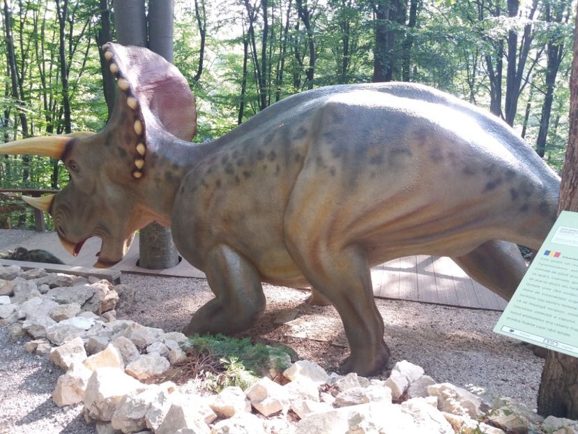  - Dino parc Râșnov