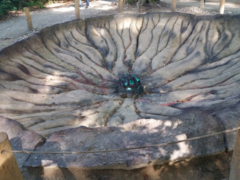  - Dino parc Râșnov