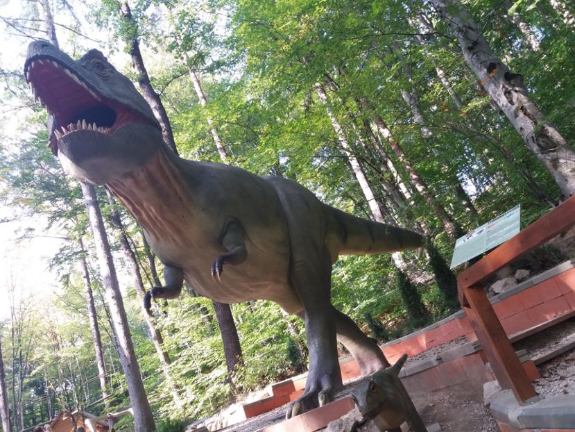  - Dino parc Râșnov