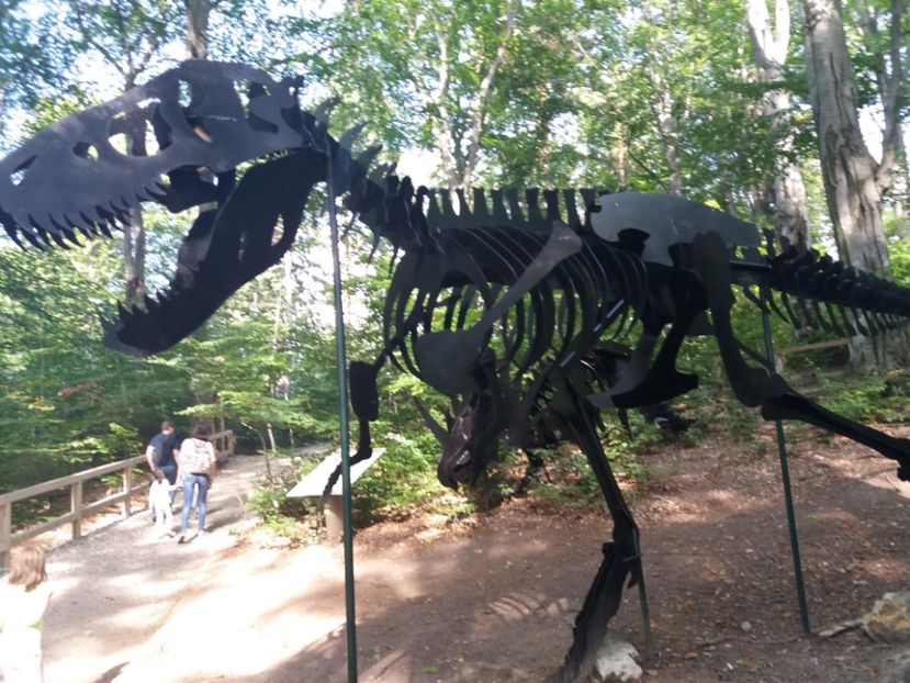  - Dino parc Râșnov