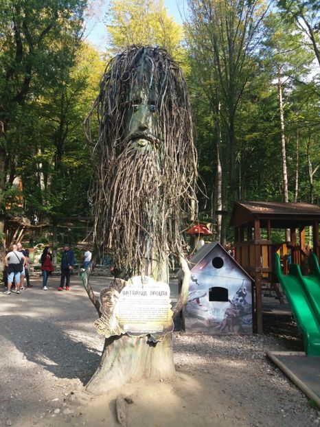  - Dino parc Râșnov