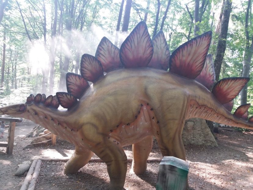  - Dino parc Râșnov