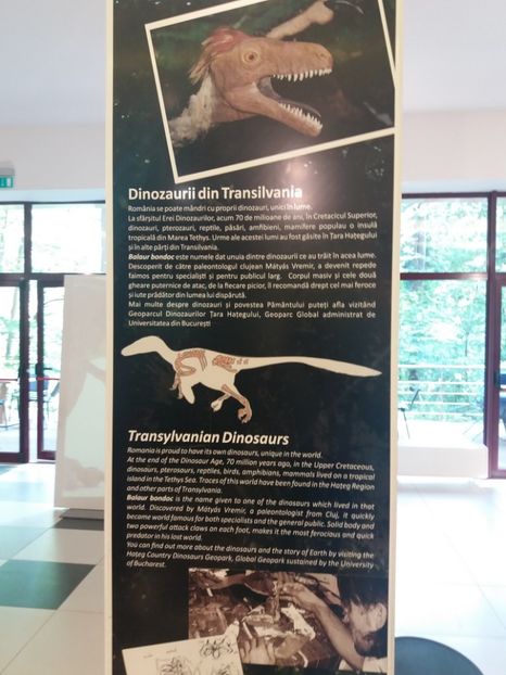  - Dino parc Râșnov