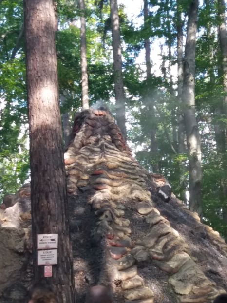  - Dino parc Râșnov
