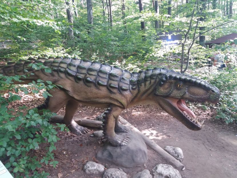  - Dino parc Râșnov