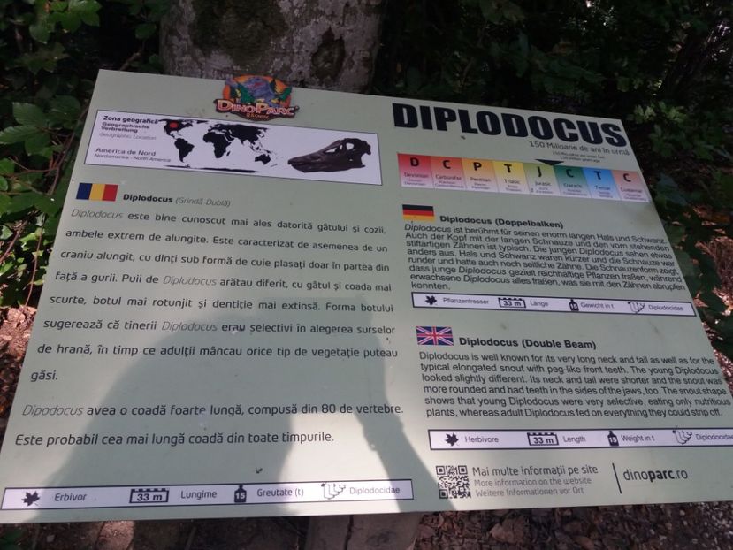  - Dino parc Râșnov