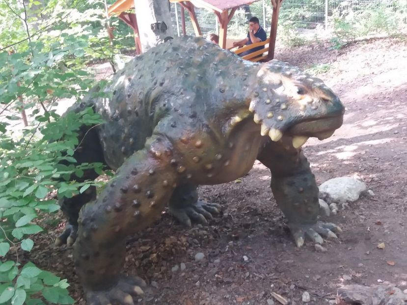  - Dino parc Râșnov