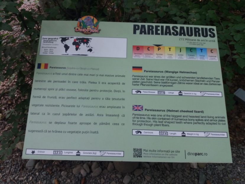 - Dino parc Râșnov