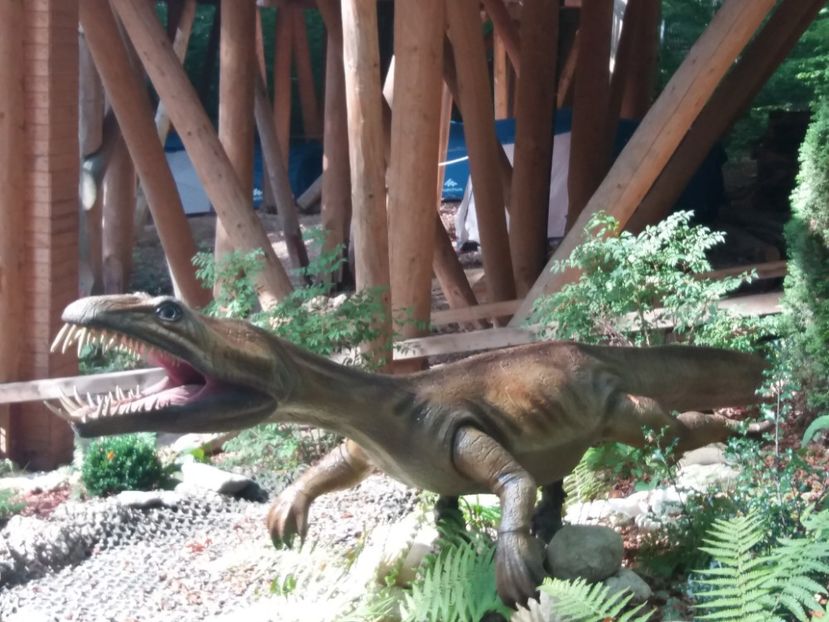  - Dino parc Râșnov