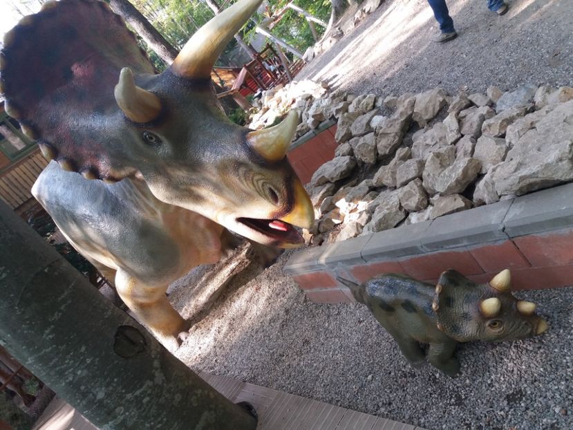  - Dino parc Râșnov