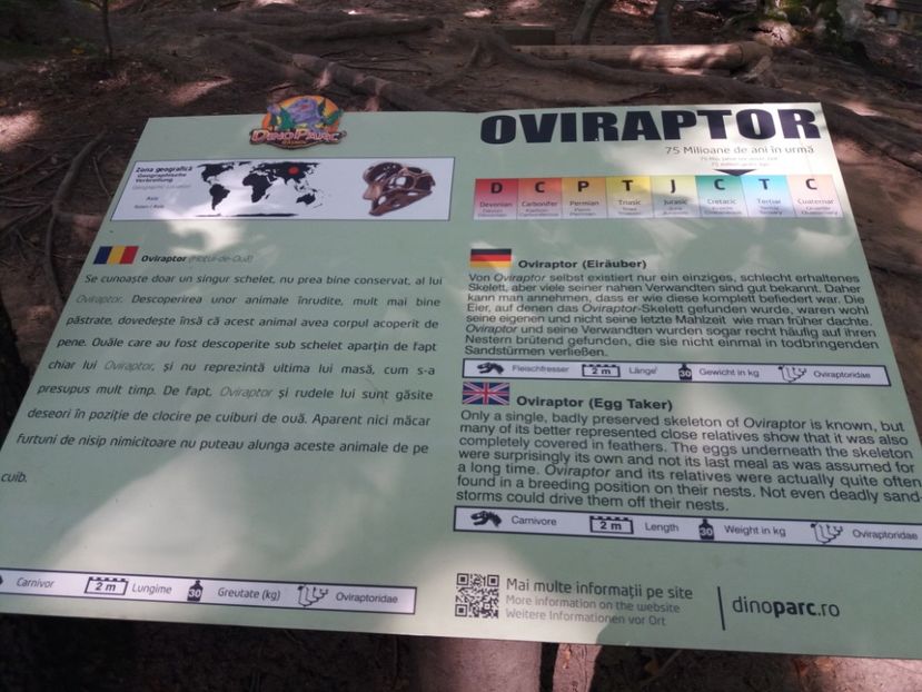  - Dino parc Râșnov