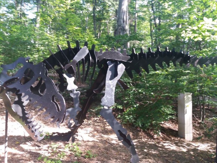  - Dino parc Râșnov