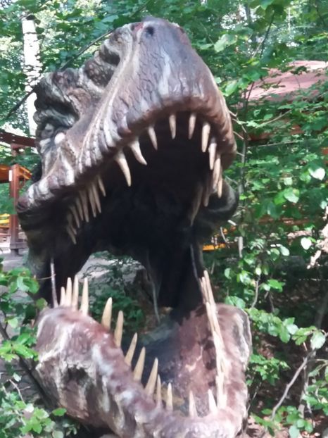  - Dino parc Râșnov