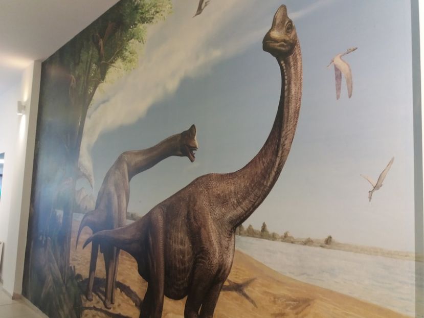  - Dino parc Râșnov