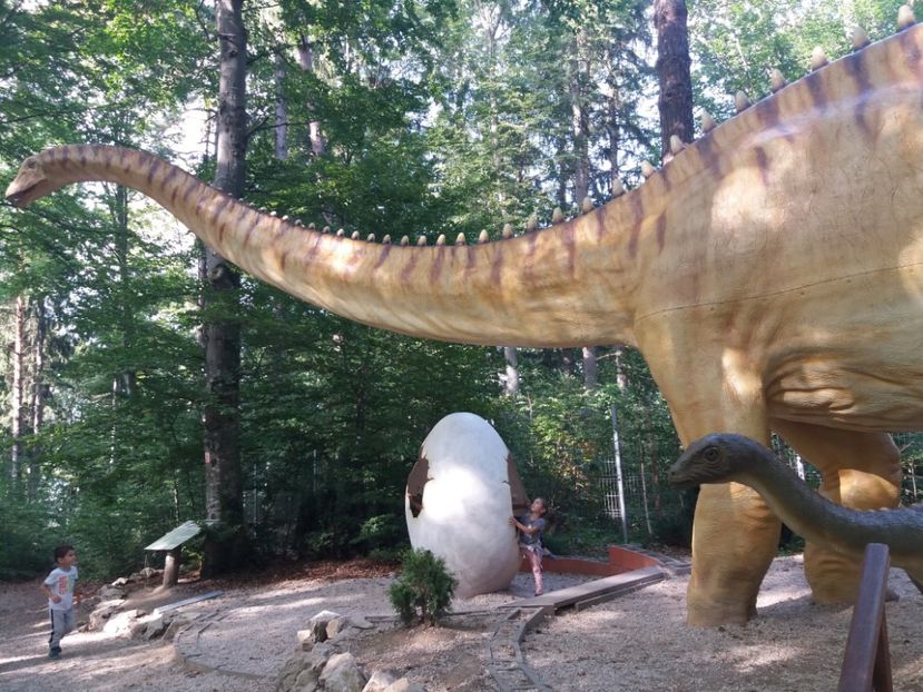  - Dino parc Râșnov