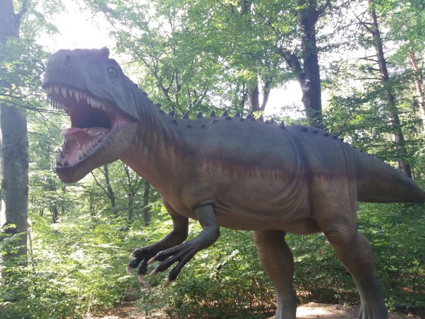  - Dino parc Râșnov