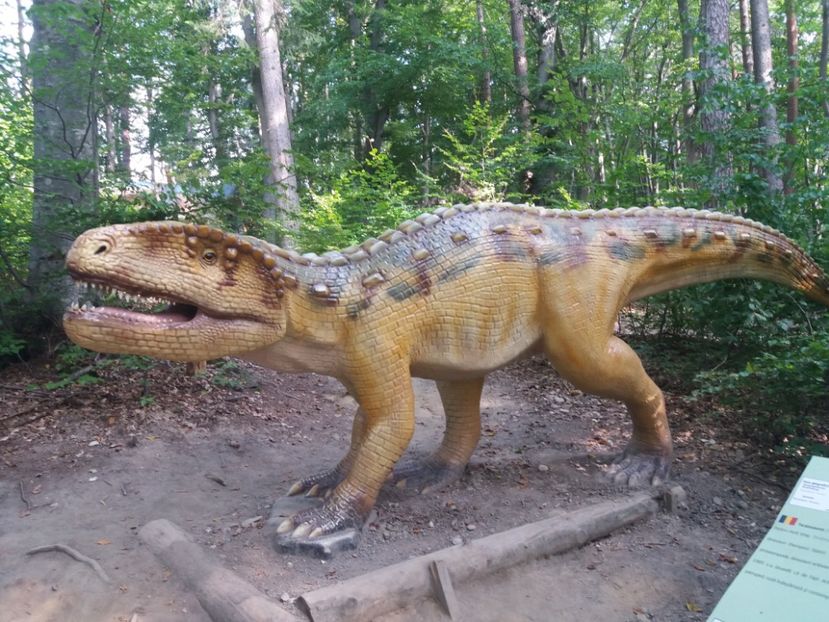  - Dino parc Râșnov