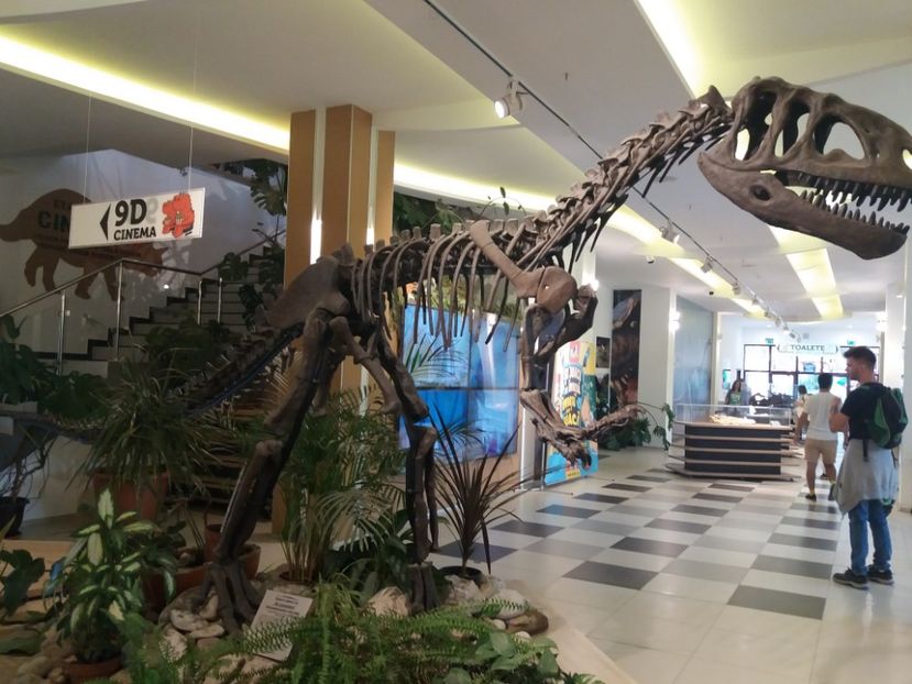  - Dino parc Râșnov