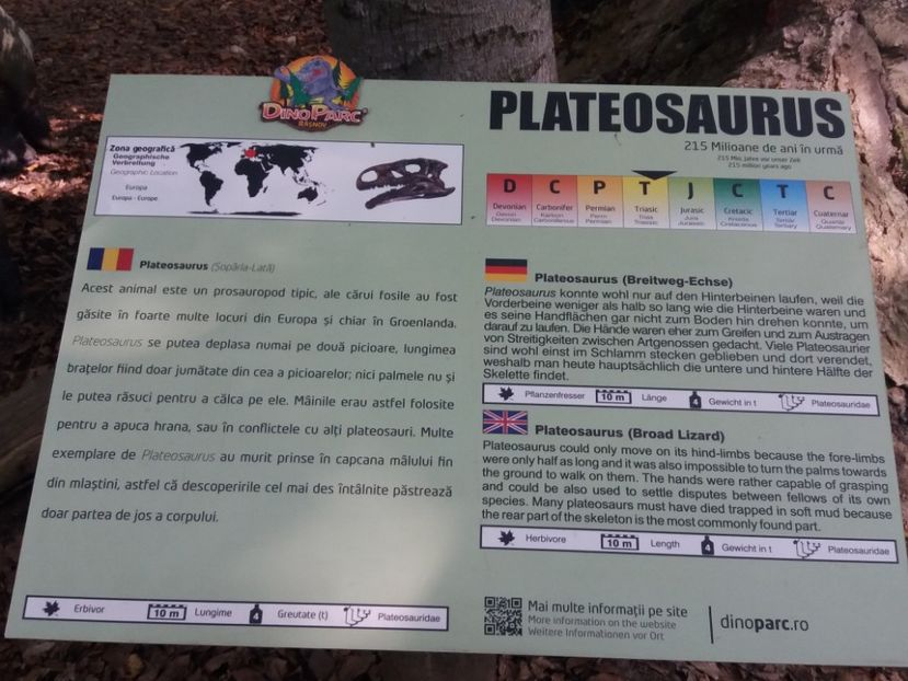  - Dino parc Râșnov