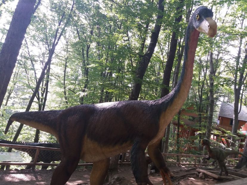  - Dino parc Râșnov