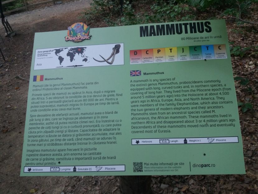  - Dino parc Râșnov
