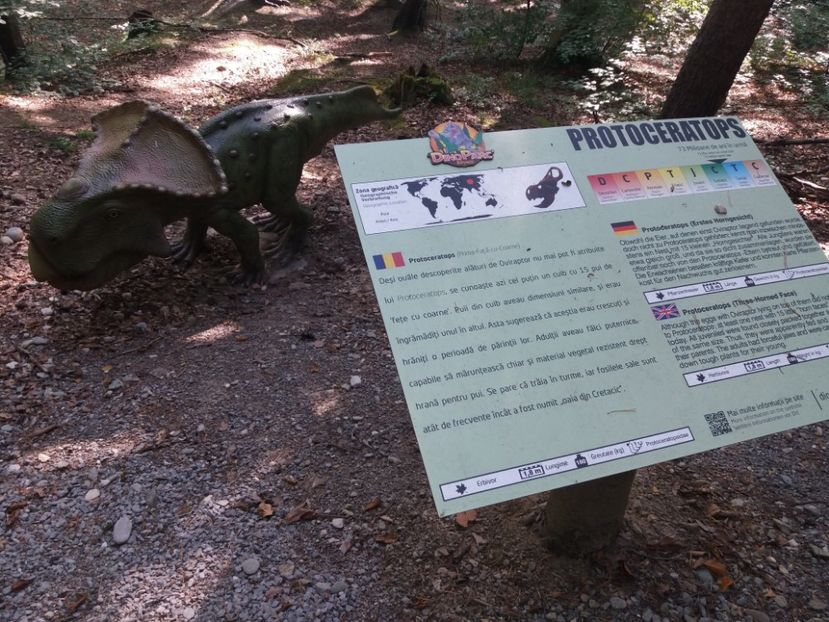  - Dino parc Râșnov