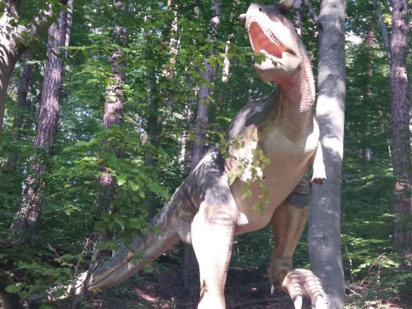  - Dino parc Râșnov