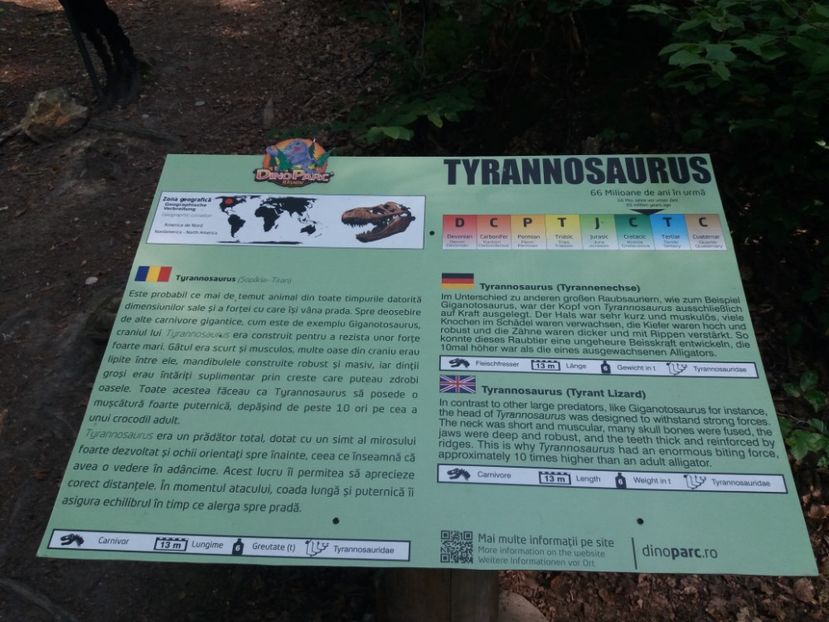  - Dino parc Râșnov