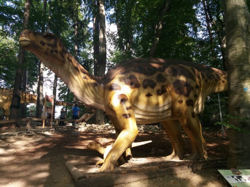  - Dino parc Râșnov