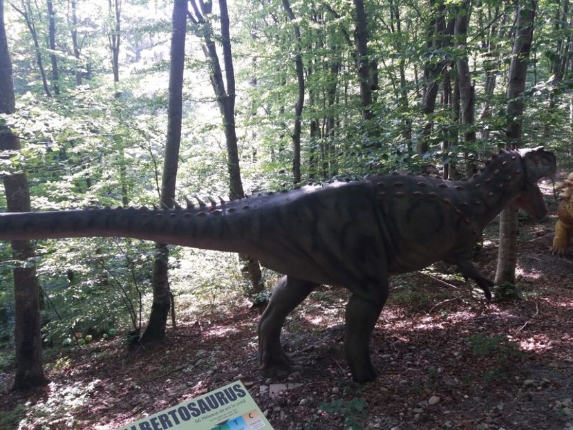  - Dino parc Râșnov