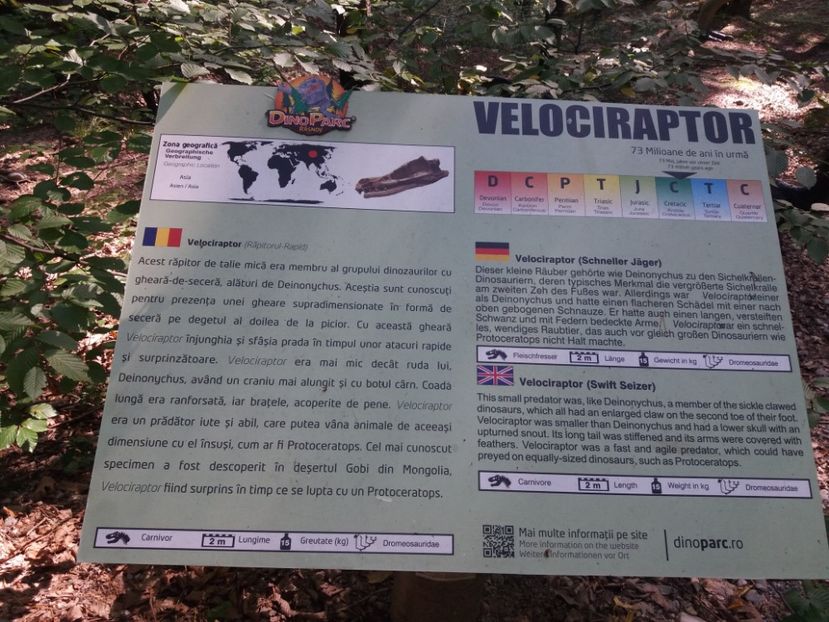  - Dino parc Râșnov