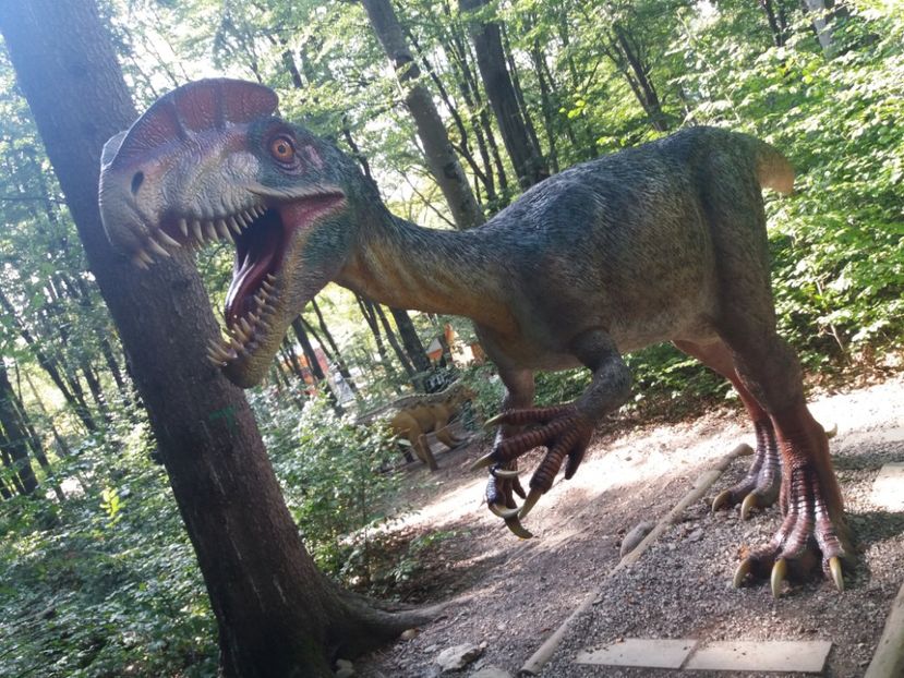  - Dino parc Râșnov