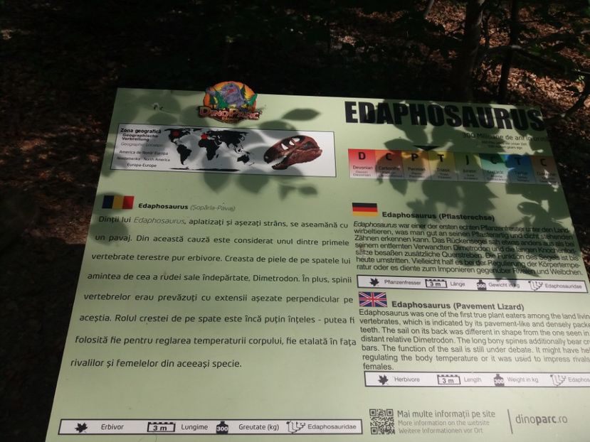  - Dino parc Râșnov