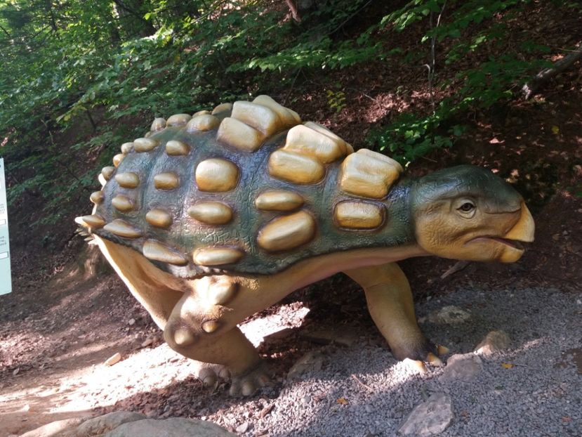  - Dino parc Râșnov