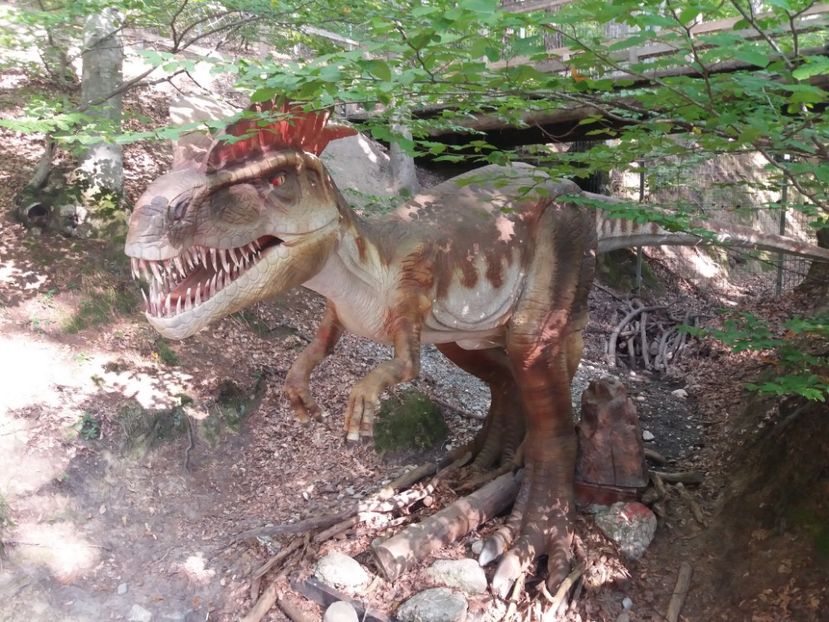  - Dino parc Râșnov
