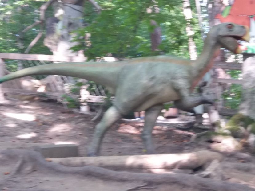  - Dino parc Râșnov