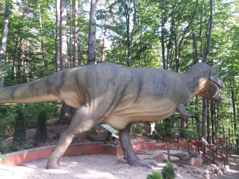 - Dino parc Râșnov