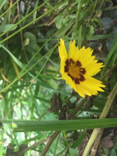 22DB083D-302E-4D08-A2F8-EE498F435C35 - Septembrie 2018