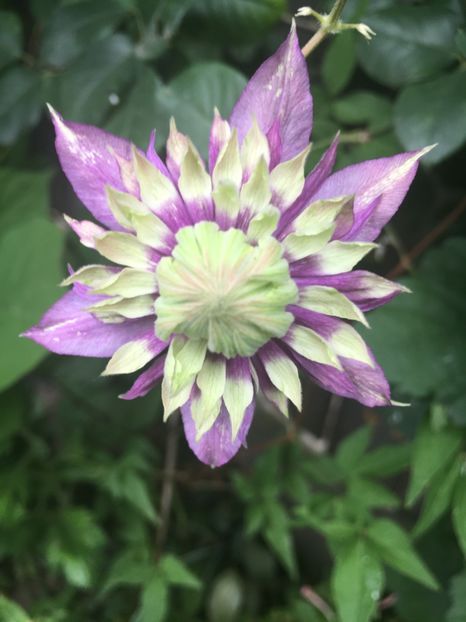 08E6B8CB-9193-42D3-A7D8-BFE0E3C5D4C0 - Septembrie 2018