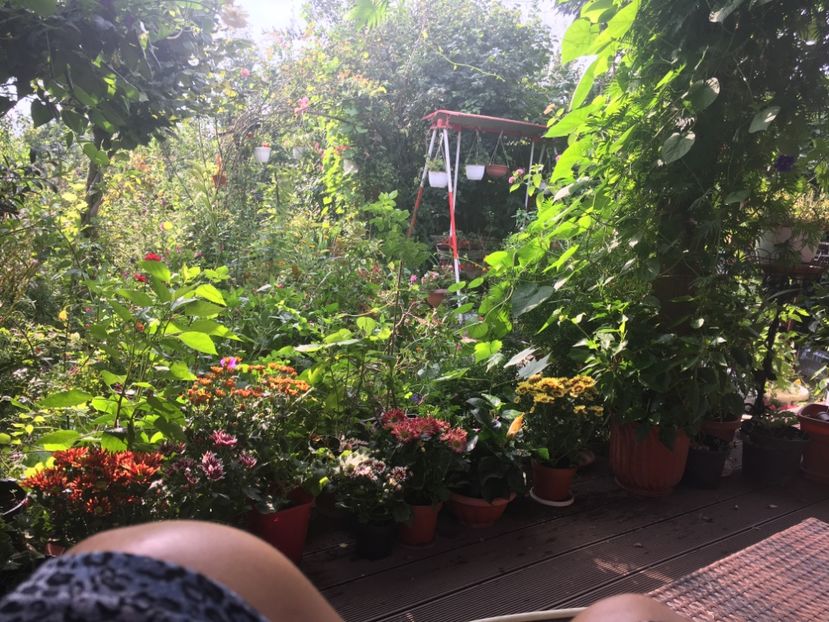 1B71E040-97B3-41E7-B38C-6E03D8D58955 - Septembrie 2018