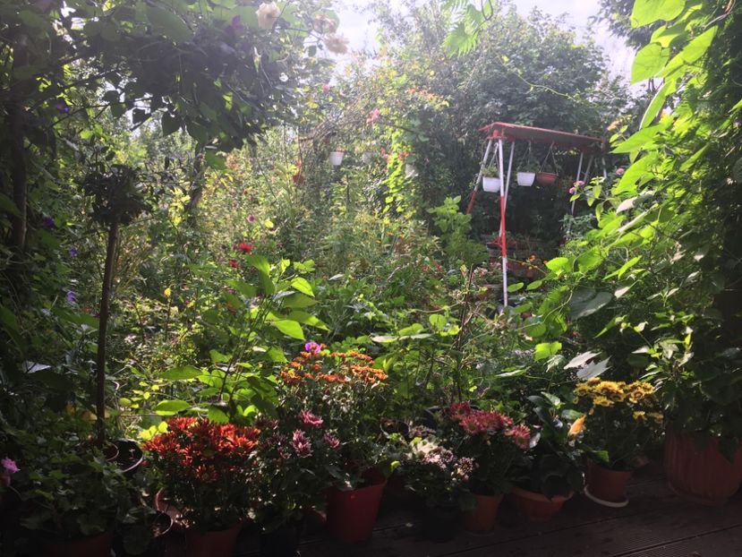 85B77744-767F-40A8-92B0-BF36DC67FFE1 - Septembrie 2018