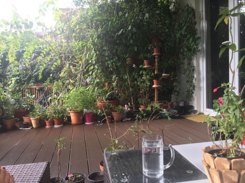 B89EA567-180A-424F-9C70-9C1CAD5228F4 - Septembrie 2018