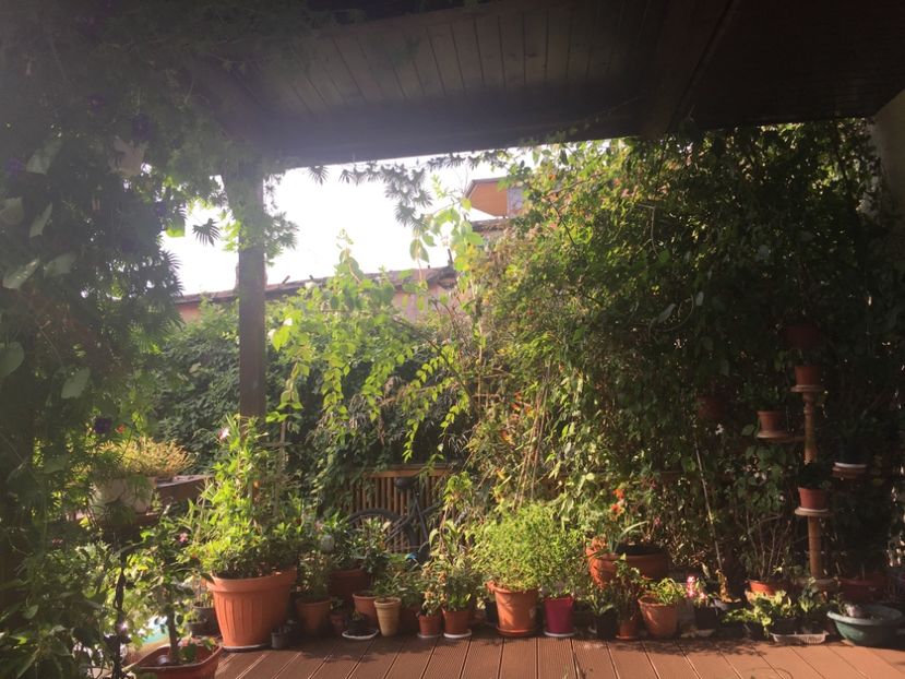 93C4C58D-0077-470D-AF12-FA92C6B78EFC - Septembrie 2018